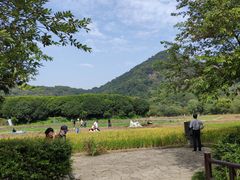 -八卦田遗址公园