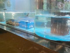 -星河湾半岛酒店-真粤中餐厅