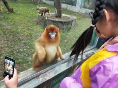 -西安秦岭野生动物园