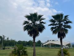 -云里小坐·海泉湾·团建·宴席·下午茶(金堂海泉湾店)