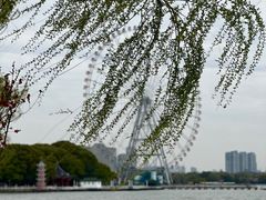 -无锡蠡湖国家湿地公园-蠡园