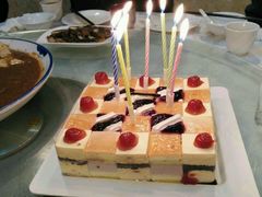 -维尔纳斯·生日蛋糕动物奶油冰淇淋蛋糕(人大店)