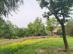 -张家湾公园