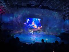 -海合安武汉极地海洋公园