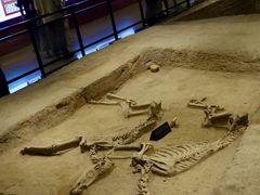 -洛阳周王城天子驾六博物馆