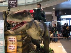 -成都浩海立方海洋公园