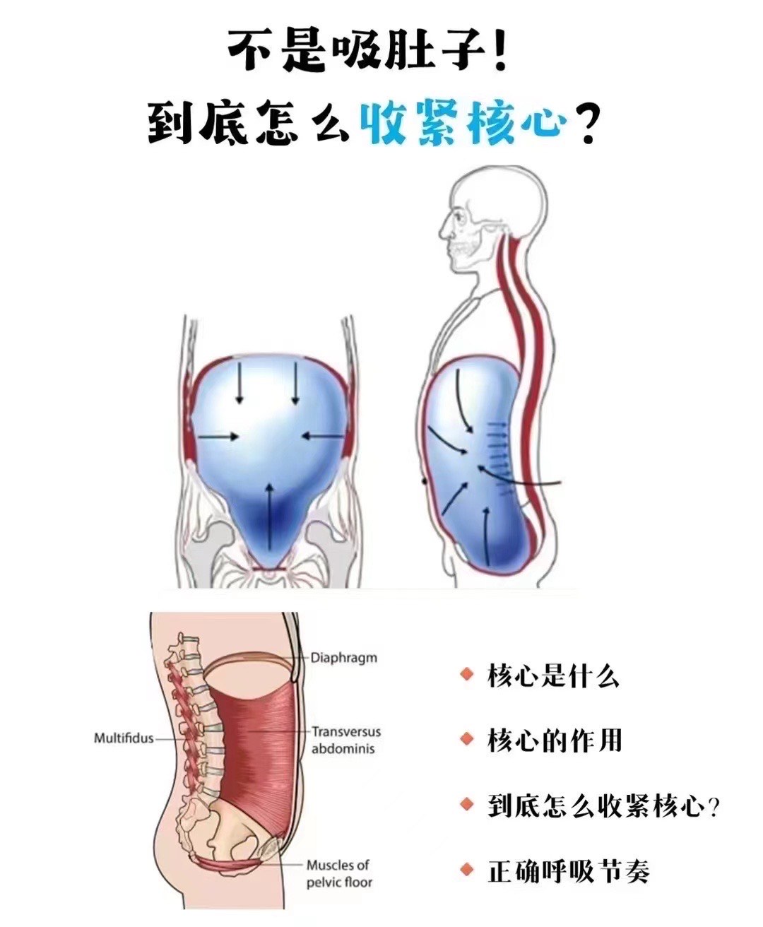 胸廓高图片