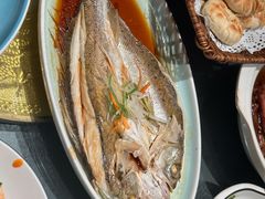 -真定郝家排骨(大十字街店)