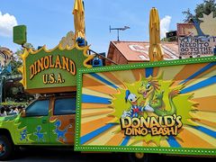 -奥兰多迪士尼动物王国乐园