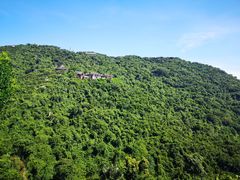 -三亚亚龙湾人间天堂鸟巢度假村