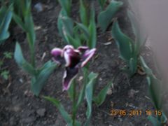 景点-长春公园(普阳街道)