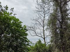 -火炉山森林公园
