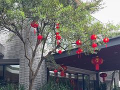 -金满楼(天河中路店)