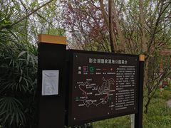 -重庆彩云湖湿地公园