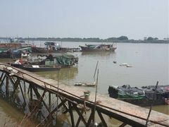 -大湾区中央湿地公园-十九涌