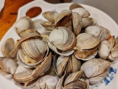 水煮蚬子-老白清真烧烤(旗舰店)