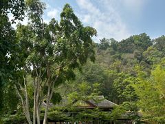 -野象谷景区