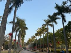 -厦门大学(思明校区)