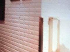 -小杨生煎(湟普汇店)