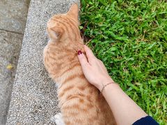 -十九路军淞沪抗日阵亡将士陵园