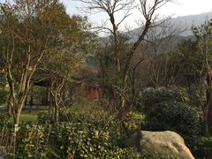 -达蓬山温泉