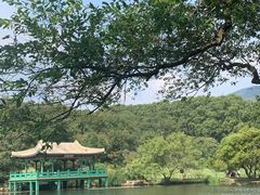 -灵谷景区