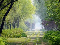 -永定河休闲森林公园