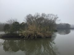 -溱湖国家湿地公园