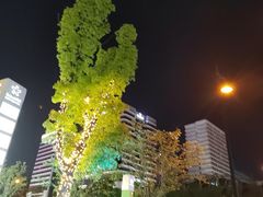 -新天地活力PARK