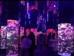 -成都浩海立方海洋公园