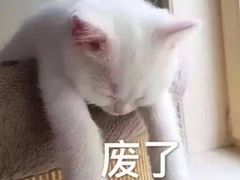 -致青春照相馆·证件照(小寨总部)