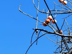 -终南山南五台景区