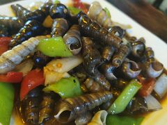 炒丁螺-土蚝·高压锅生蚝(百姓美食街店)