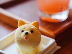 -柴犬高等学院·狗咖·柴犬售卖·宠物训练