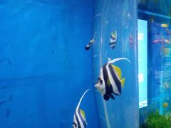 -福州罗源湾海洋世界旅游区