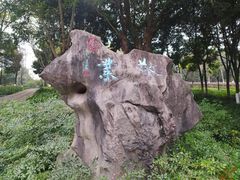 -重庆彩云湖湿地公园
