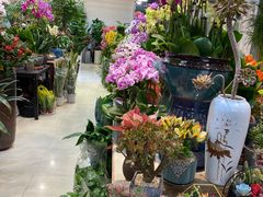 -双季花艺园艺市场(浦东店)