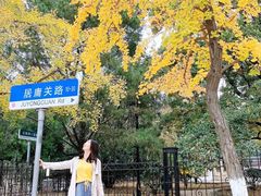 -八大关景区