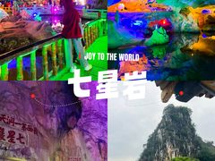 -鼎香皇高佬苏裹蒸粽