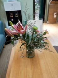 -荷绿美美容生活坊