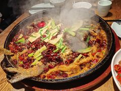 -老板恋上鱼(高新万达店)