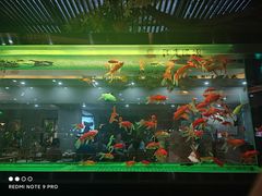 -阳光院坝小龙虾(红牌楼店)