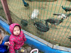 -武汉紫薇都市田园