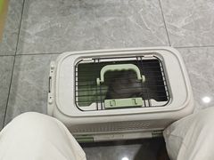 -瑞鹏宠物医院·骨外科·心肾科·肿瘤科(九亭店)