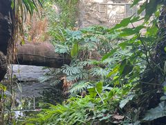 -北京植物园-展览温室