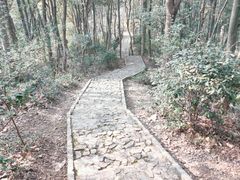 -上海佘山国家森林公园天马山园