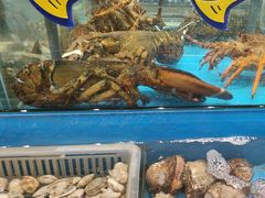 -海铺·渔家虾水饺(皇姑店)