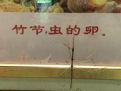 -上海昆虫博物馆