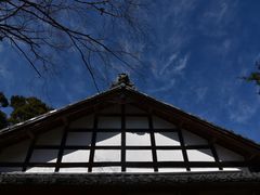 -西芳寺(苔寺)
