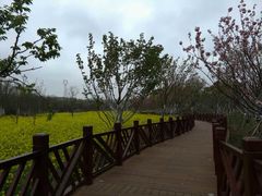 -贵阳市花溪国家城市湿地公园